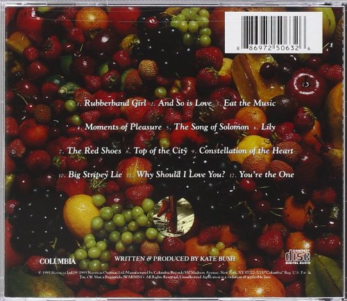 Kate Bush - The Red Shoes (Japanese Edition 2005)