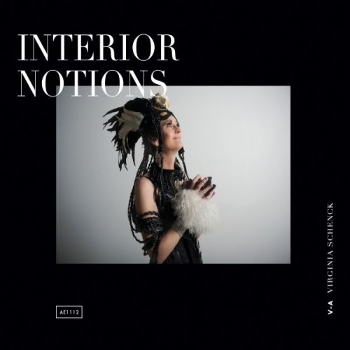 V-A Virginia Schenck - Interior Notions (2015)