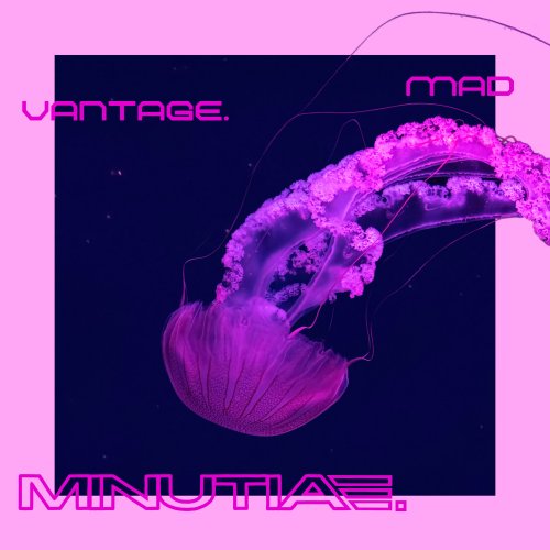Mad Vantage - MINUTIAE. (2025) [Hi-Res]