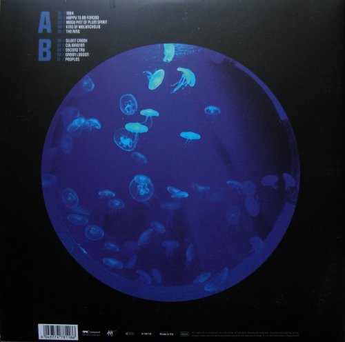 Marriage Material - Enchantment Under The Sea (2023) LP