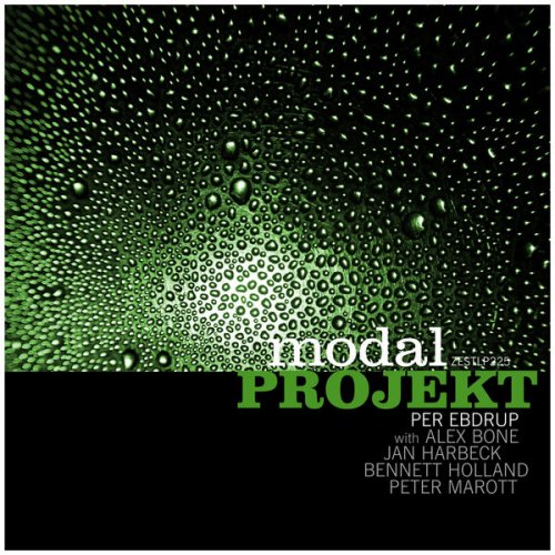 modal PROJEKT - Electronic Organic (2025) [Hi-Res]