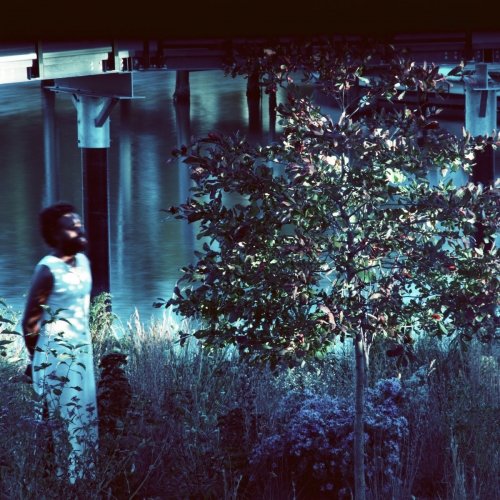 JJJJJerome Ellis - Vesper Sparrow (2025) [Hi-Res]