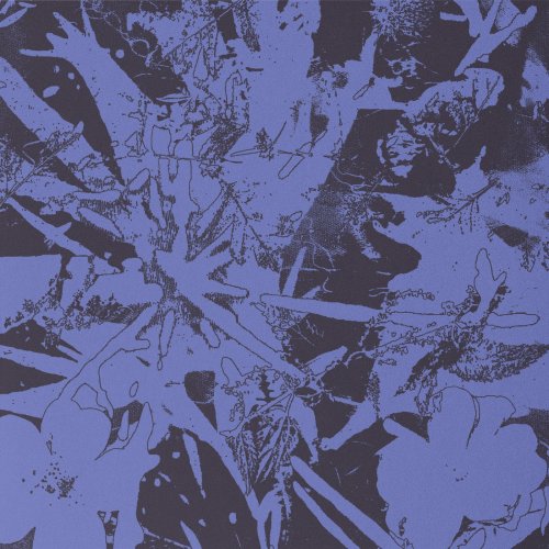 Plants Heal - Forest Dwellers (2025)
