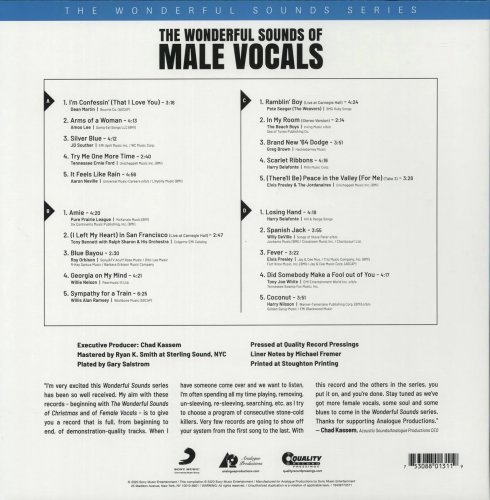 VA - The Wonderful Sounds of Male Vocals (2020) LP