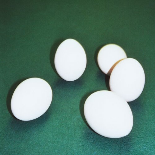 Dumbo Gets Mad - FIVE EGGS (2025) [Hi-Res]