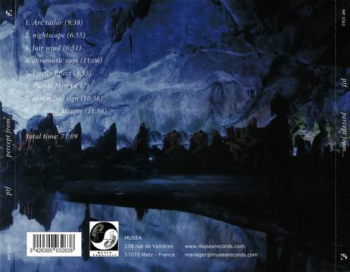PTF - Percept From… (2013)