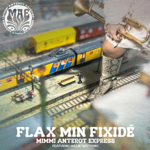 Mimmi Anterot Express - Flax min fixidé (2025) Hi-Res