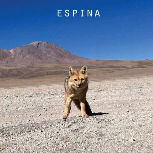 Pierre Martinet Quartet - Espina (2025)
