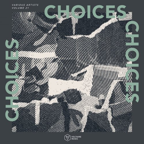 VA - Voltaire Music Pres. Choices Vol. 21 (2025)