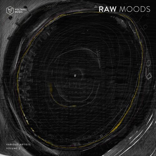 VA - Raw Moods, Vol. 2 (2025)