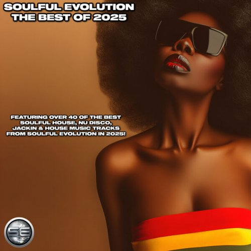 VA - Soulful Evolution The Best Of 2025