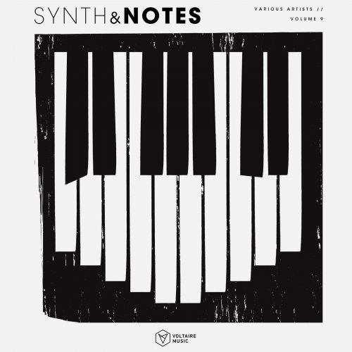 VA - Synths & Notes, Vol. 9 (2026)