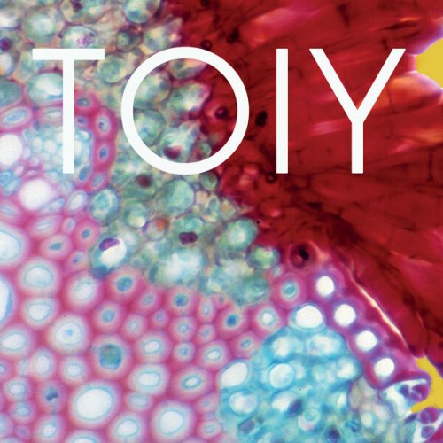 TOIY - TOIY (2026) Hi-Res