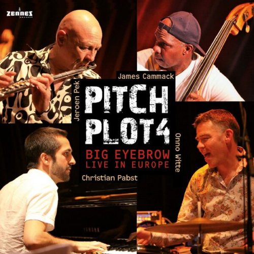 Jeroen Pek - Pitch Plot 4 - Big Eyebrow (Live in Europe 2016) (2026) Hi-Res