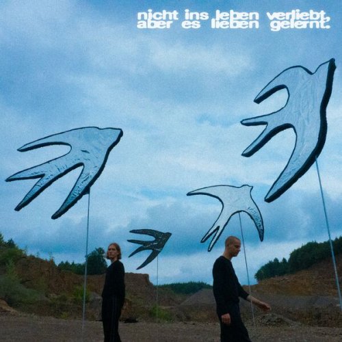 Tape head, Noni - nicht ins leben verliebt, aber es lieben gelernt. (2026) Hi-Res