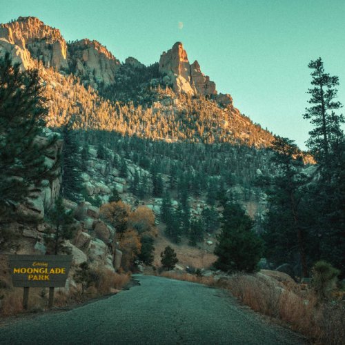 Of The Trees - Moonglade Park (2026)