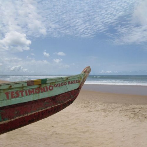 Diego Baëza - Testimonio (2026) Hi-Res