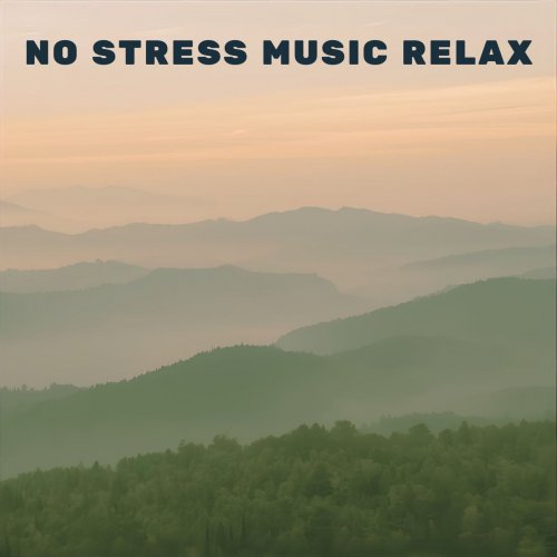 VA - No Stress Music Relax (2026)