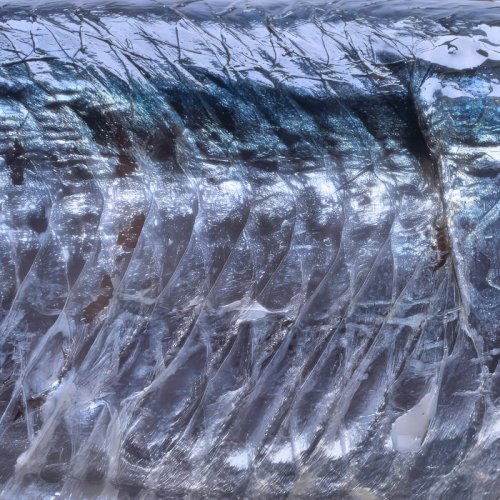 15 15 - Mārara (2026)