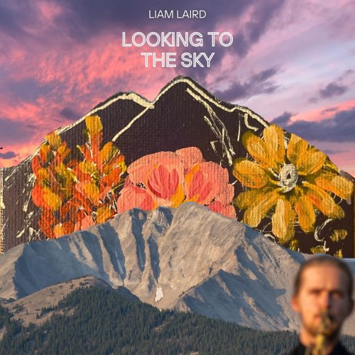 Liam Laird - Looking To The Sky (2026) [Hi-Res]
