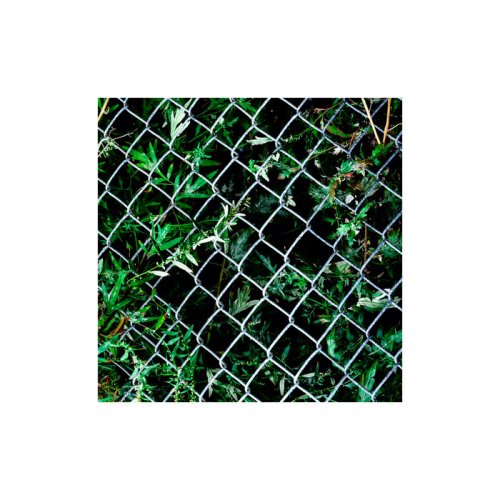 504 Aquatic - Urns (2026)