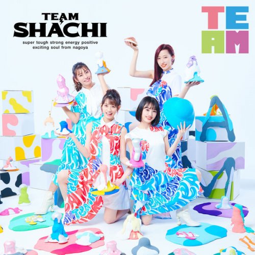Team Syachihoko - TEAM (2022)