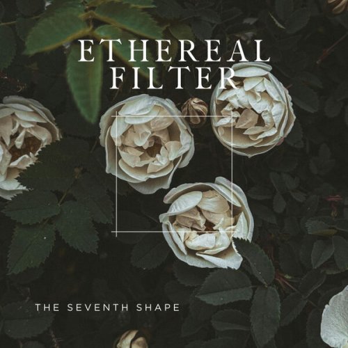 Simon Bircher, Ethereal Filter - The Seventh Shape (2026) Hi-Res