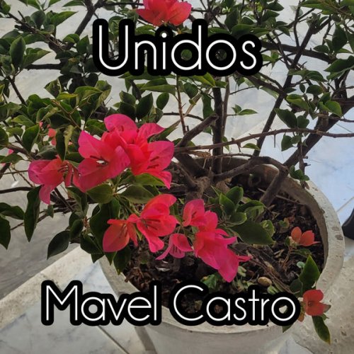 Mavel Castro - UNIDOS (2026) Hi-Res