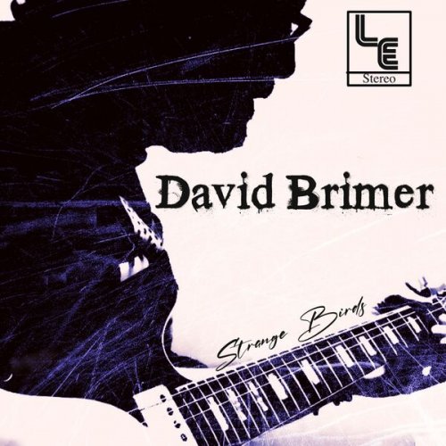 David Brimer - Strange Birds (2026) Hi-Res