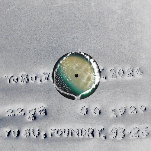 Yu Su - Foundry (2026)