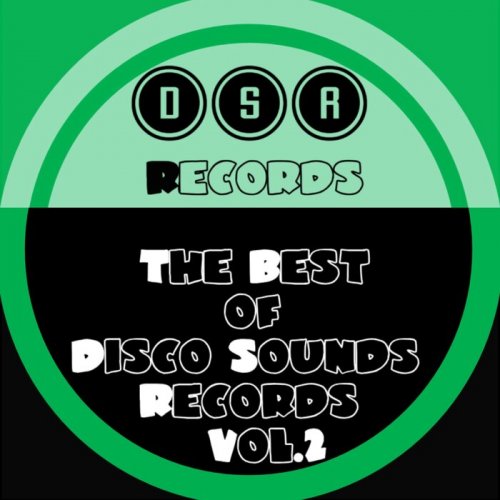 VA - The Best Of Disco Sounds Records, Vol 2 (2026)