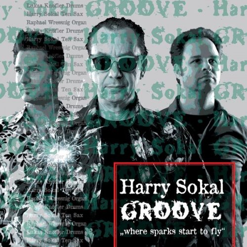 Harry Sokal Groove - Where Sparks Start To Fly (2013)