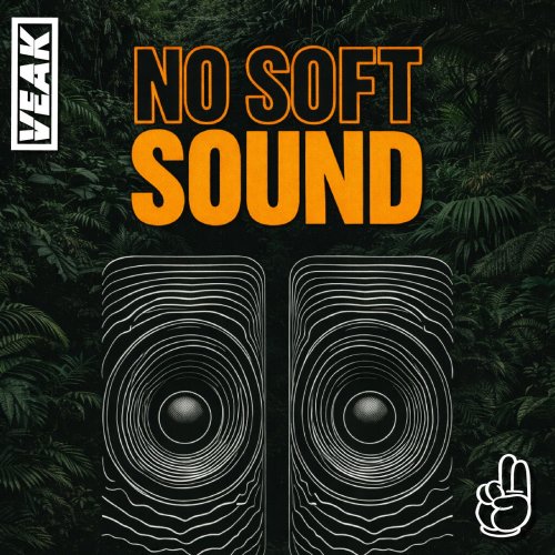 Veak - No Soft Sound (2026)