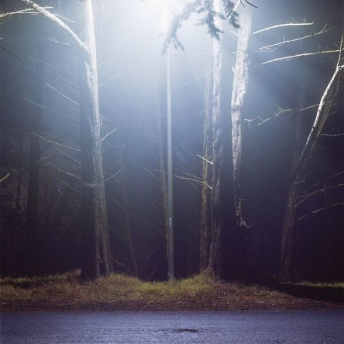 LOVEMUSIC, Ben Roidl-Ward, Isidora Nojkovic, Grossman Ensemble & Mivos Quartet - David Bird: Hinterlands (2026) Hi-Res