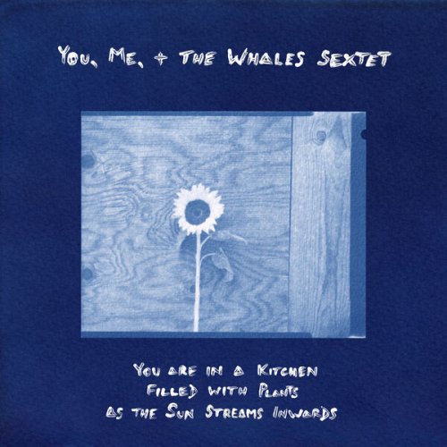 You, Me, + the Whales - You are in a Kitchen Filled with Plants as the Sun Streams Inwards (2026) [Hi-Res]