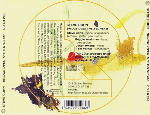 Steve Cohn - Bridge Over The X-Stream (2000)