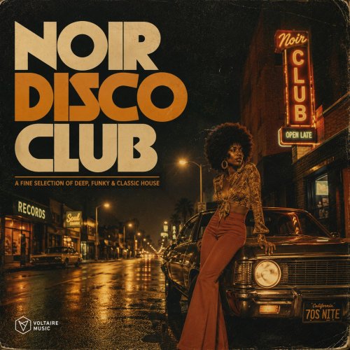 VA - Noir Disco Club Vol. 1 (2026)