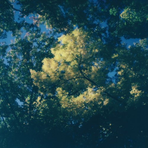 zakè & marine eyes - Still Beauty (2026) [Hi-Res]