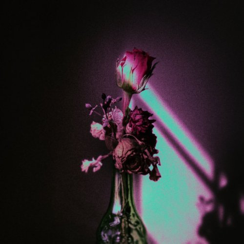 josy and the mind readers - sigh some more (because it releases endorphins and reduces anxiety) EP (2026) Hi-Res