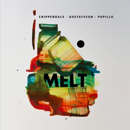 Mats Gustafsson, Brian Chippendale & Massimo Pupillo - Melt (2016)