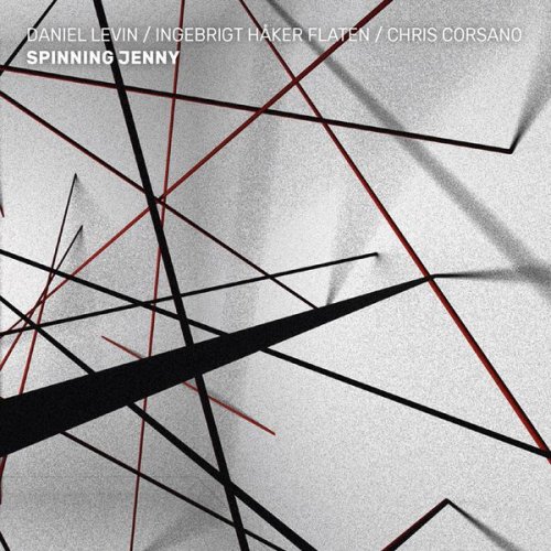 Daniel Levin, Ingebrigt Haker Flaten & Chris Corsano - Spinning Jenny (2017)