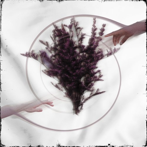 Take The Name - Limerence (2026) Hi-Res