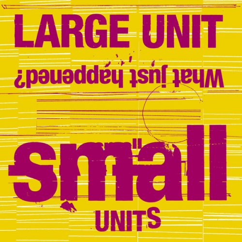 Large Unit - Large Unit: Small Units: What Just Happened? (2026) [Hi-Res]