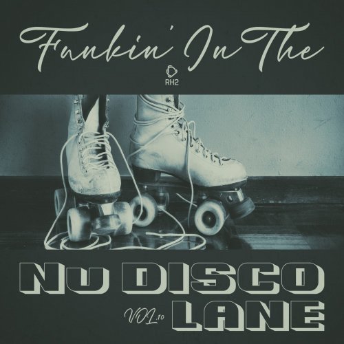 VA - Funkin' In The Nu Disco Lane, Vol.10 (2026)