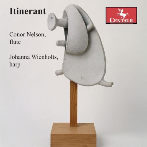 Conor Nelson, Johanna Wienholts - Itinerant (2026) [Hi-Res]