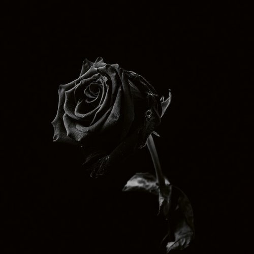 Viclan - Healing Wounds (2026)