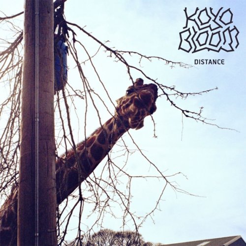 Koyo Bloom - Distance (2026)