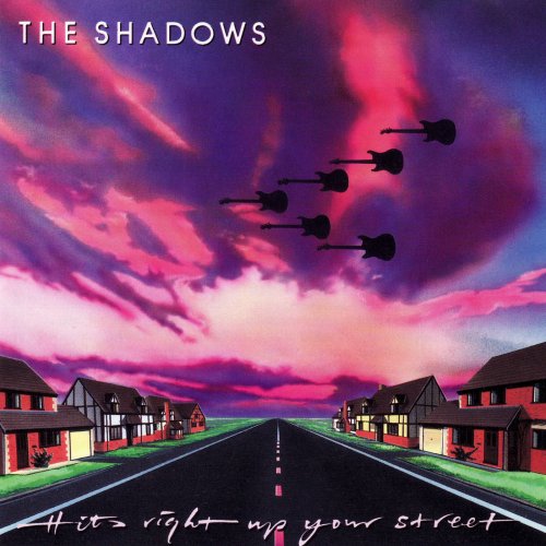 The Shadows - Hits Right Up Your Street (1992)
