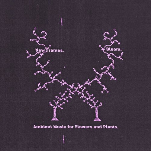 New Frames - Bloom. Ambient Music for Flowers and Plants (2026)