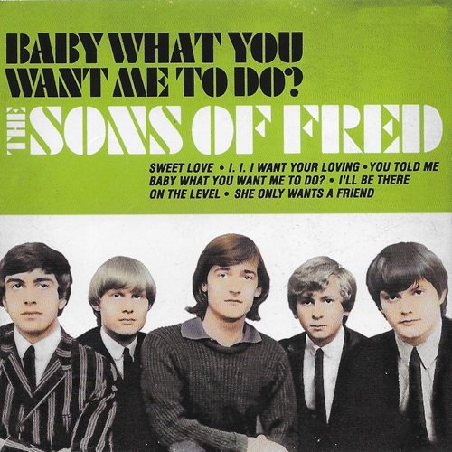 The Sons Of Fred – Baby What You Want Me to Do (2016)